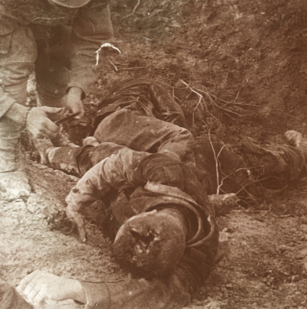ドイツの遺体、シャンパーニュ、フランス北部、1915 作： 不明