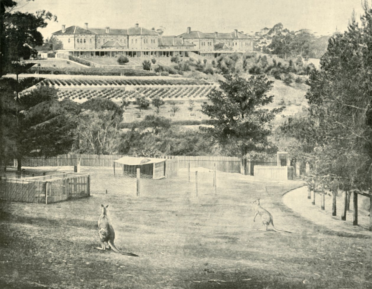 Gladesville Asylum for the Insane、ニューサウスウェールズ州、1901年。 作： 不明