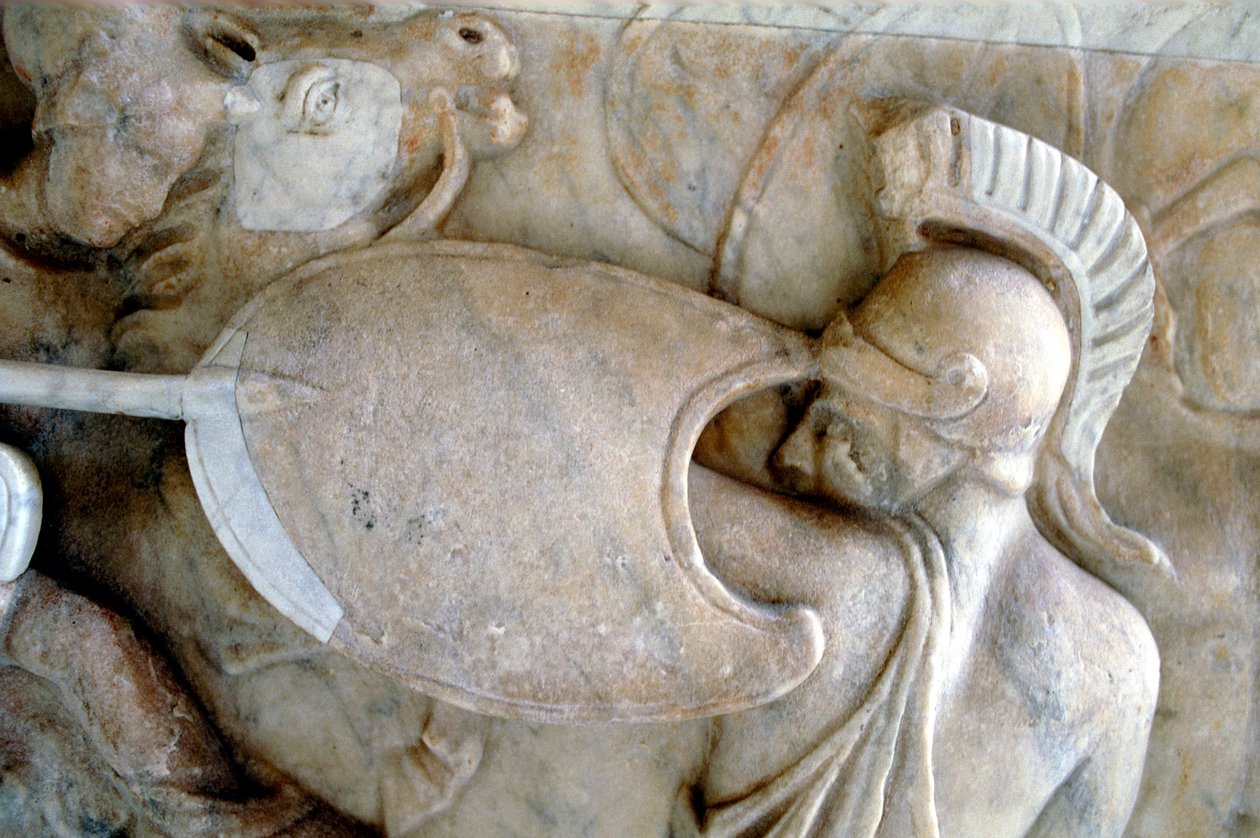 アマゾン30BC-200ADとの戦いでギリシャの重装歩兵 作： 不明