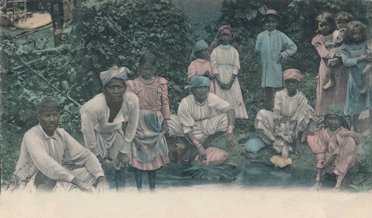 ジャマイカからのご挨拶。クーリーの洗浄、1905年。 作： 不明