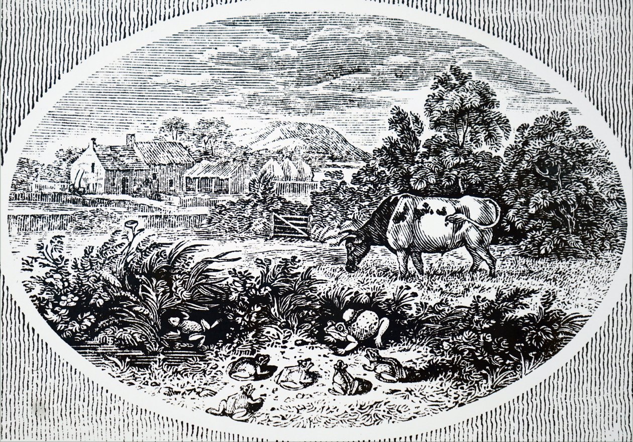 ヘッドピース：Thomas Bewick 作： 不明