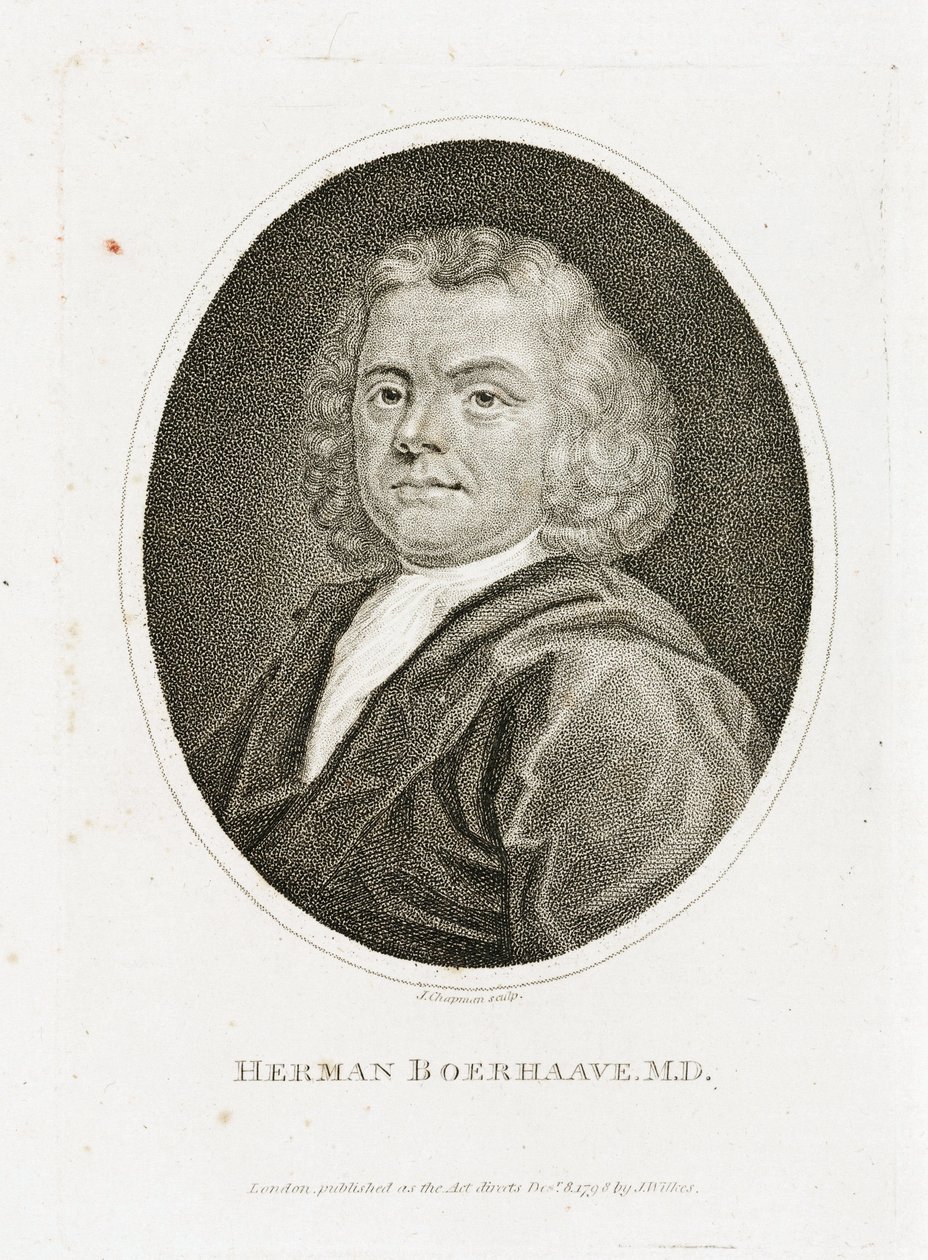 Herman Boerhaave, オランダの医師、化学者、植物学者, 18世紀初頭 作： 不明