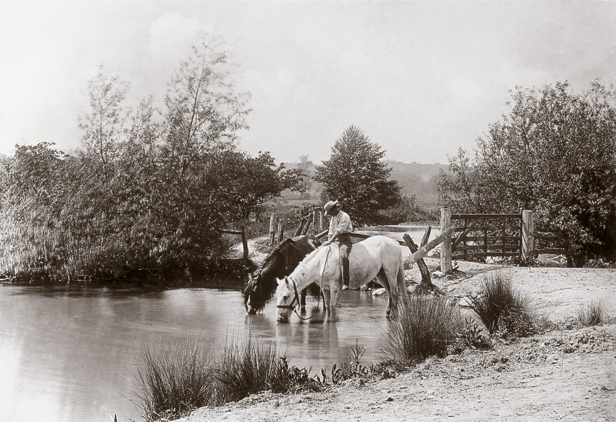 "Horses drinking at pond", vers les annees 1890 作： 不明