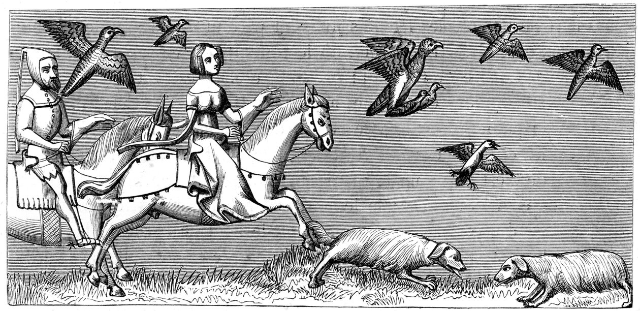若いタカを飛ばす方法、14世紀1849 作： 不明