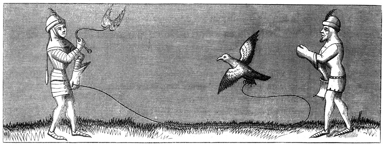 1849年の若いハヤブサを訓練する方法 作： 不明