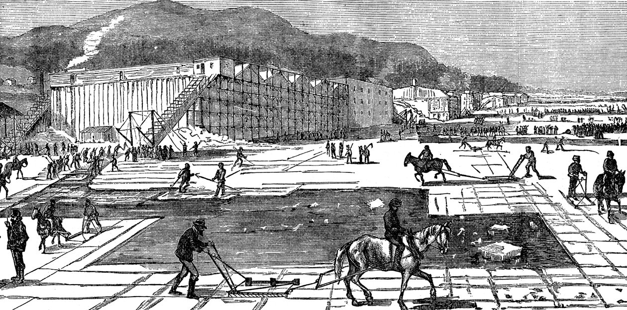 1875年、ニューヨーク州近くのハドソン川での集氷 作： 不明