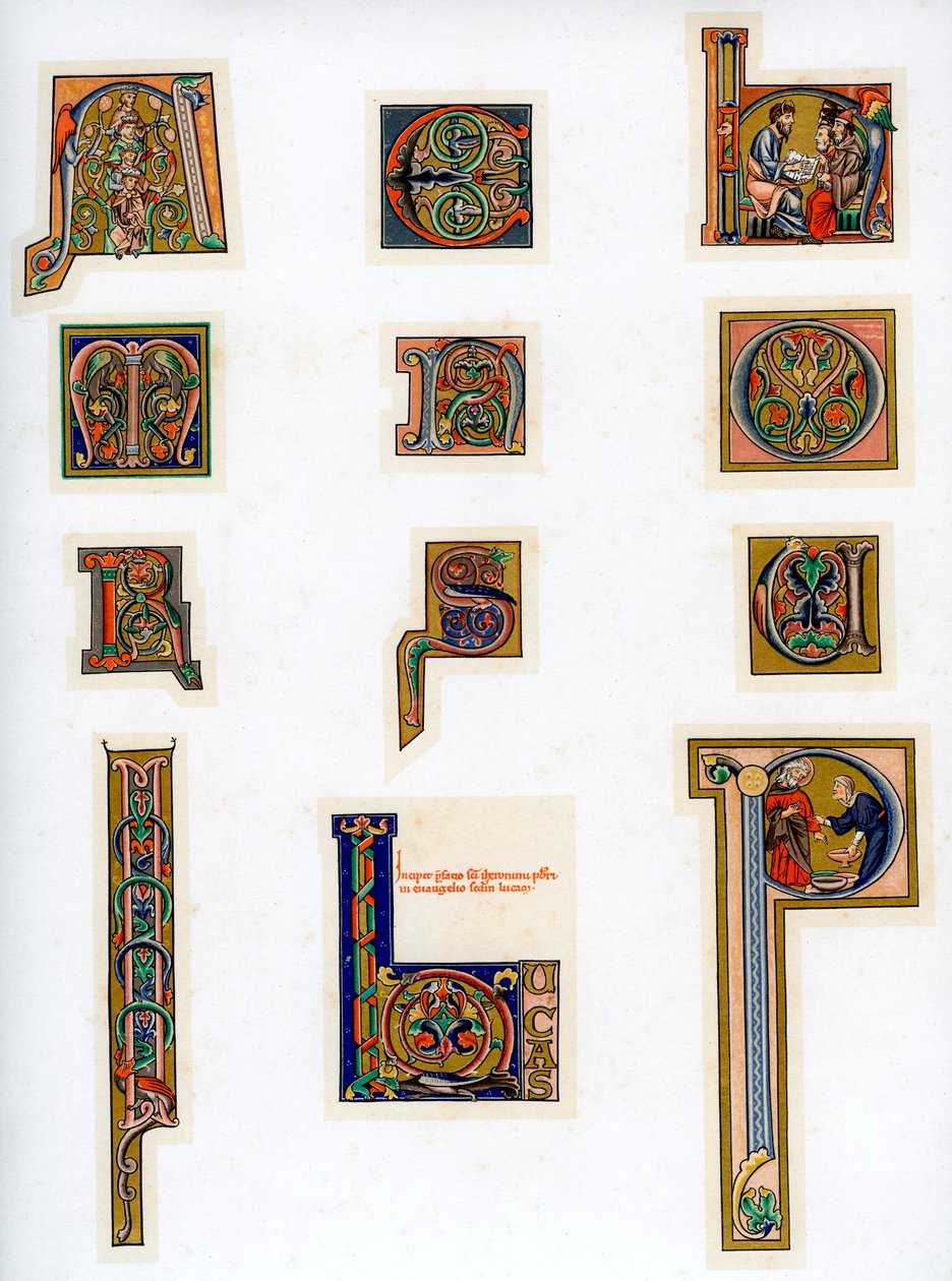 照らされた頭文字、13世紀 作： 不明