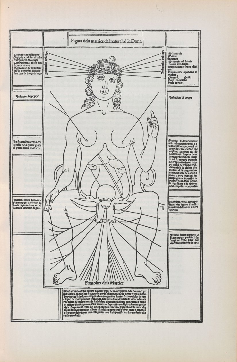 Johannes de Ketham による「Fasciculo di medicina」のイラスト、1493 年。 作： 不明