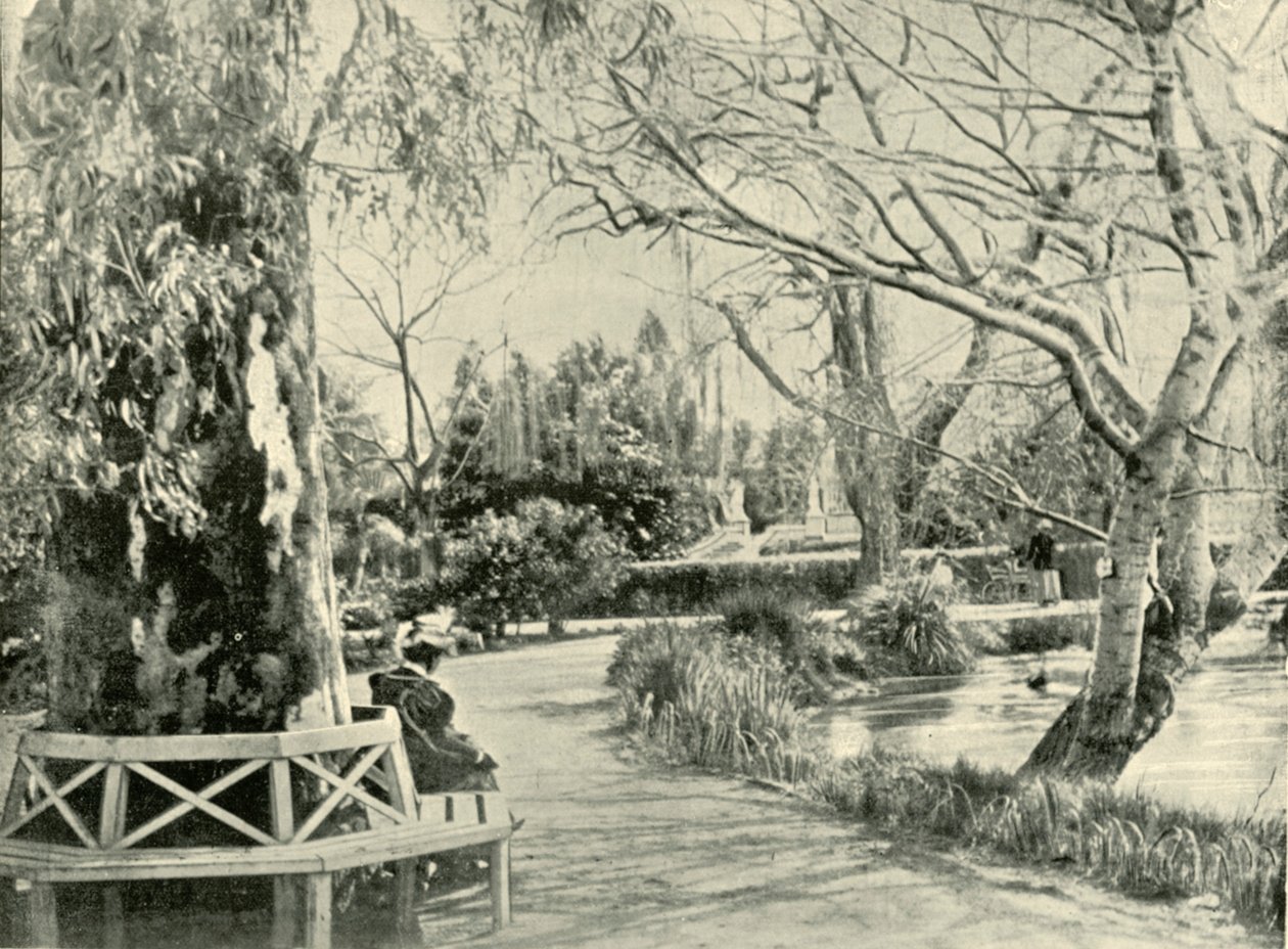 植物園、アデレード、1901年。 作： 不明
