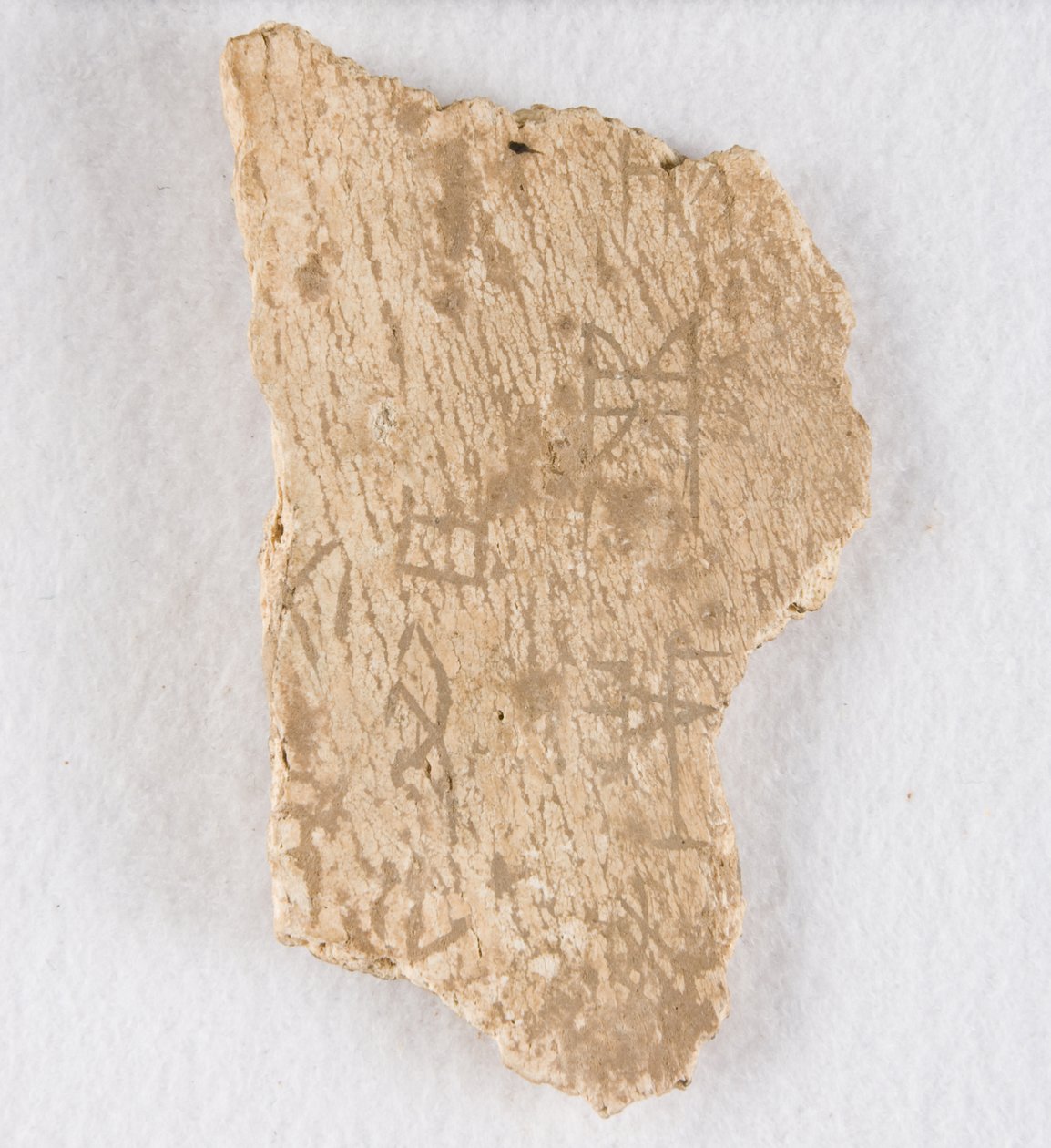 内接骨片 甲骨、殷王朝後期、約 紀元前1300～1050年。 作： 不明