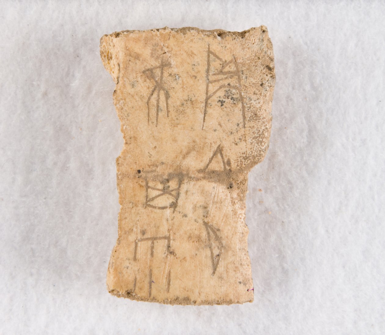 内接骨片 甲骨、殷王朝後期、約 紀元前1300～1050年。 作： 不明