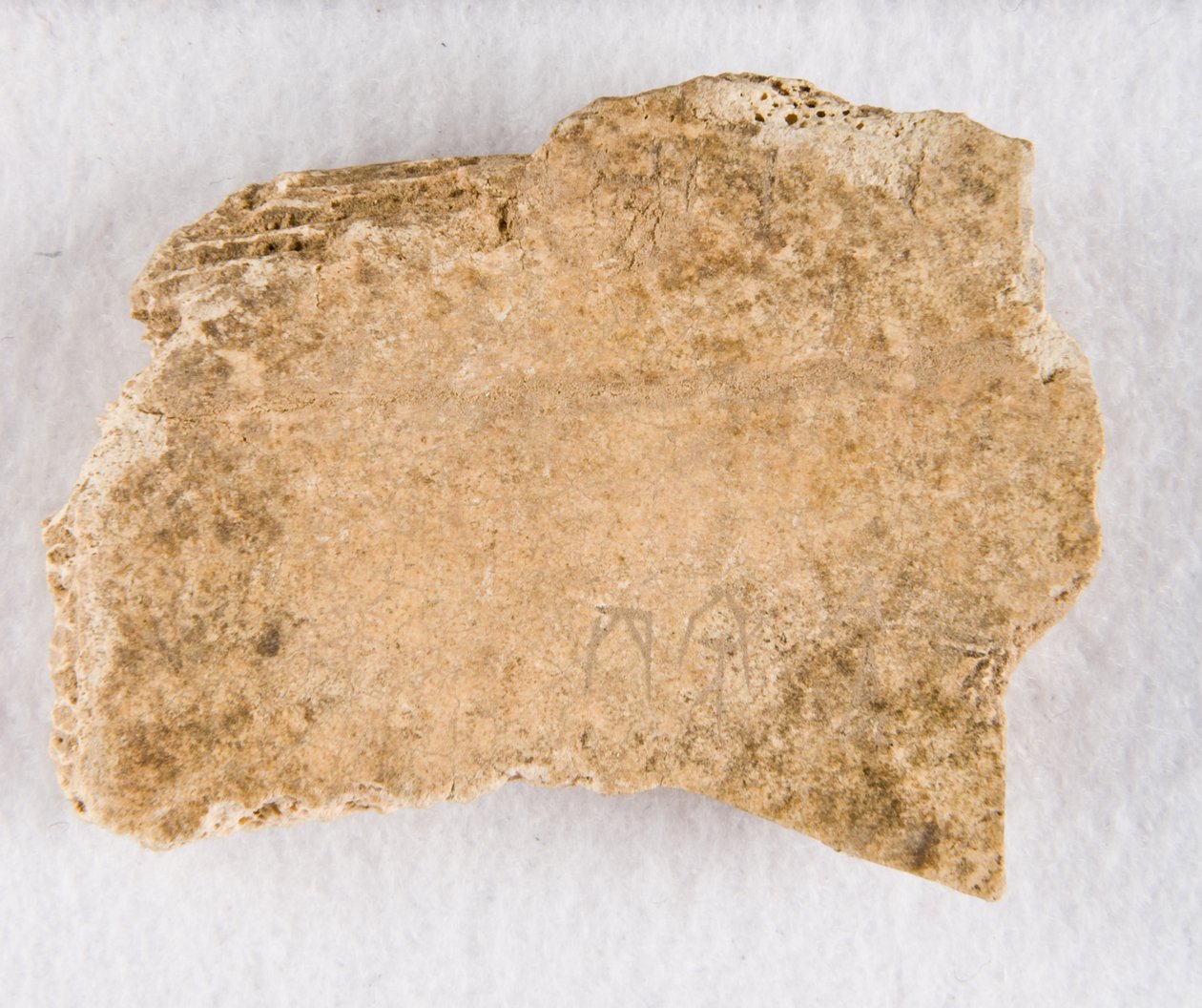 内接骨片 甲骨、殷王朝後期、約 紀元前1300～1050年。 作： 不明