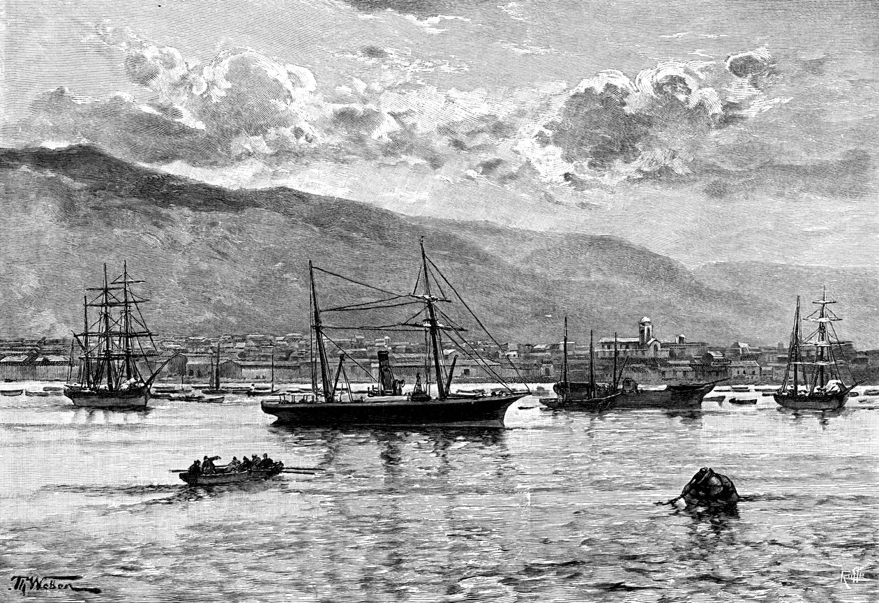 イキケ、チリ、1895 作： 不明