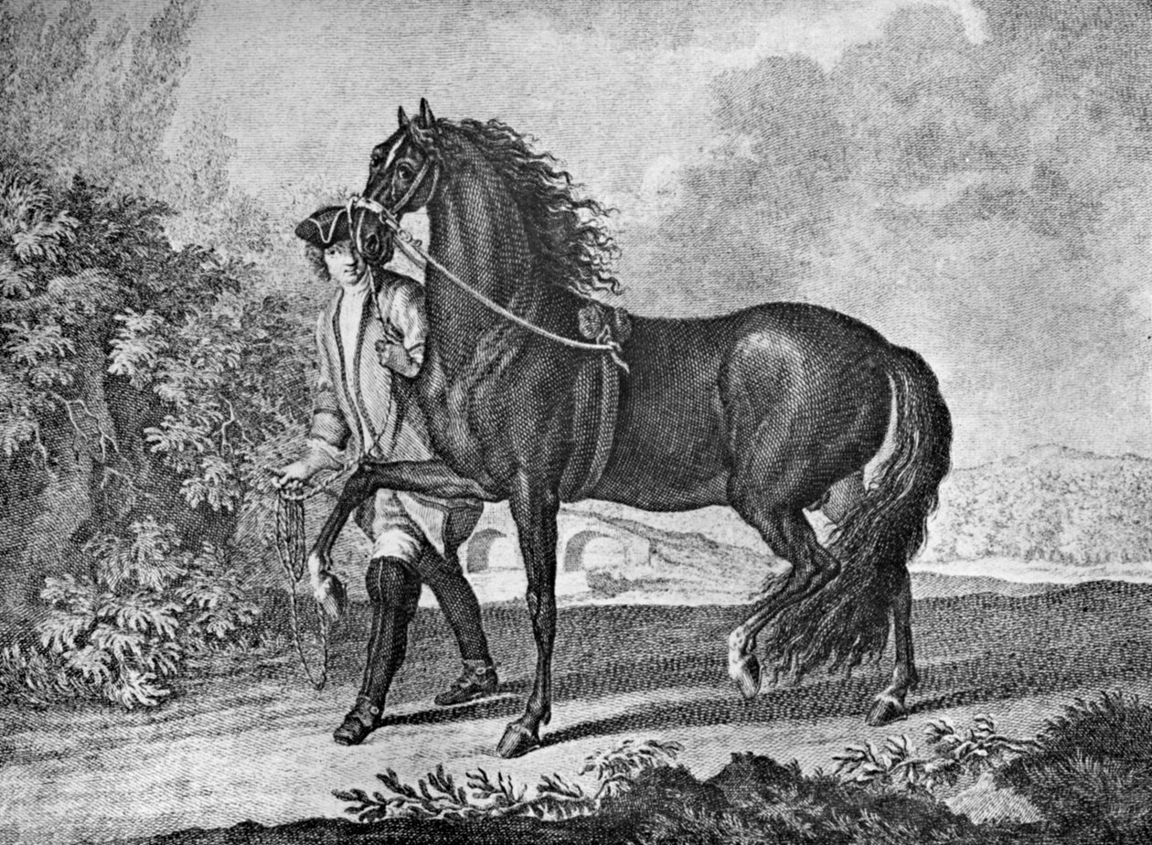 イタリアのナポリタン馬、1722 1938 作： 不明