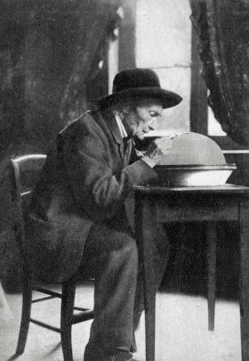 ジャンアンリファーブル、フランスの昆虫学者、1880年