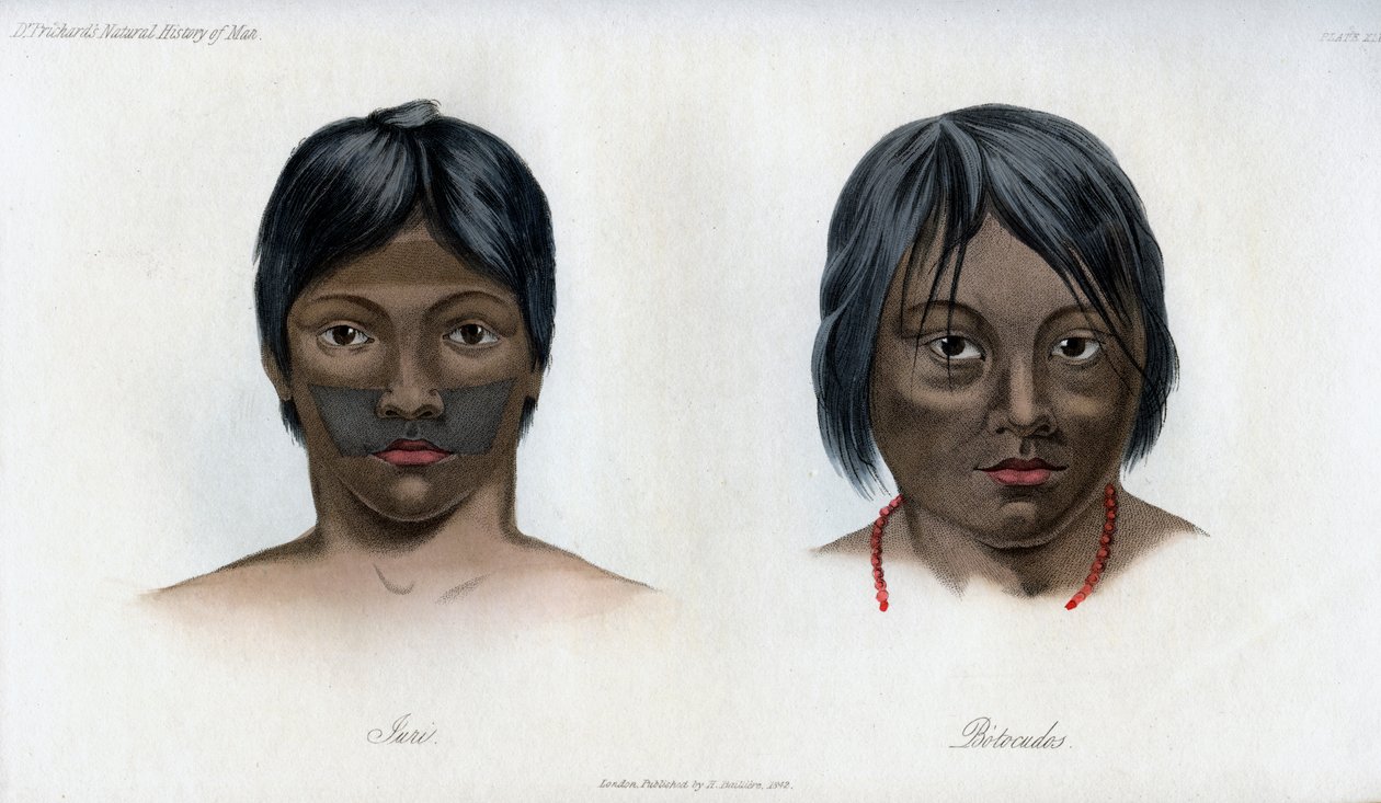 ブラジルガラニ国家のジュリとボトクドス、1848 作： 不明