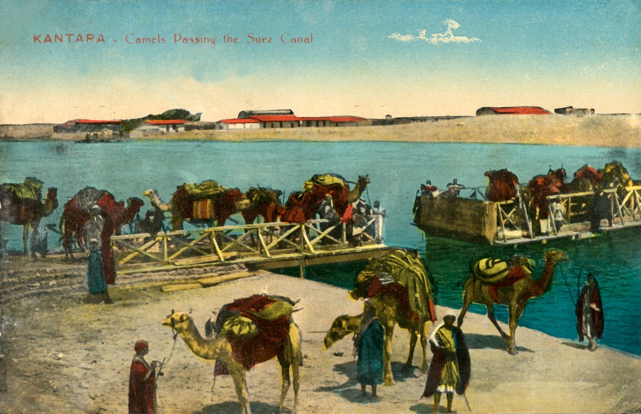 カンタラ-スエズ運河を通過するラクダ、c1918-c1939。 作： 不明