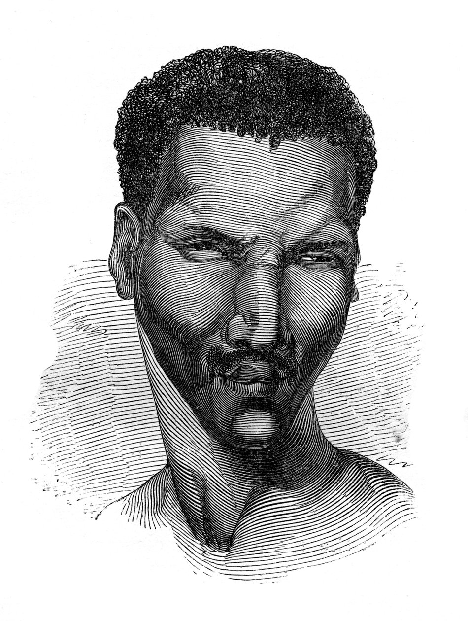 旅行者のコスト、1848 作： 不明