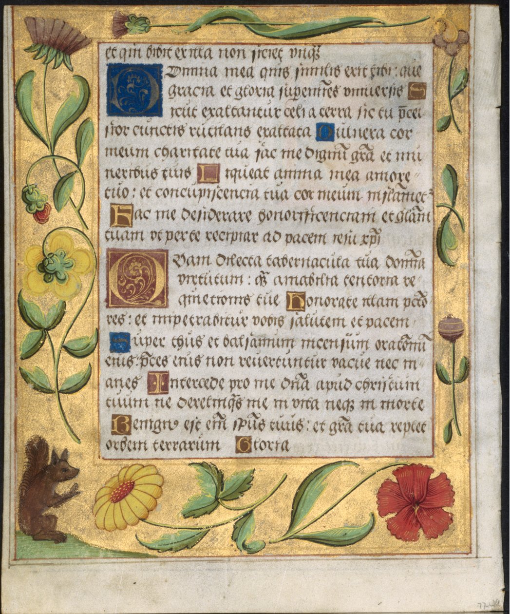 詩篇と祈りの本からの葉っぱ：花とリスの装飾が施されたボーダー、c。 1524。 作： 不明