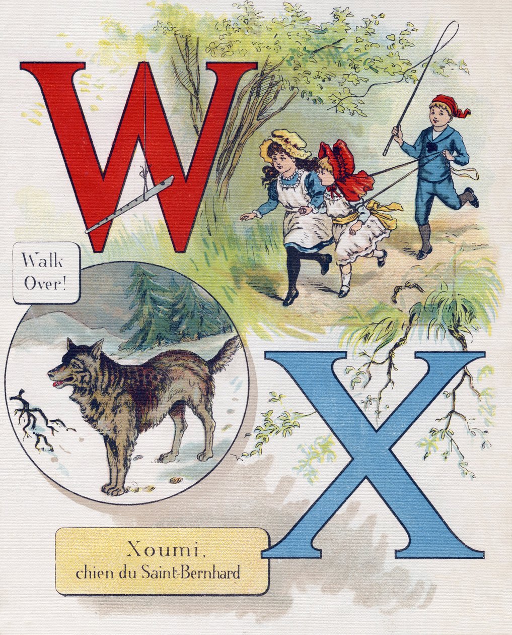 Letter W and X: Walk over and Xoumi, Saint Bernard の犬。ABC L