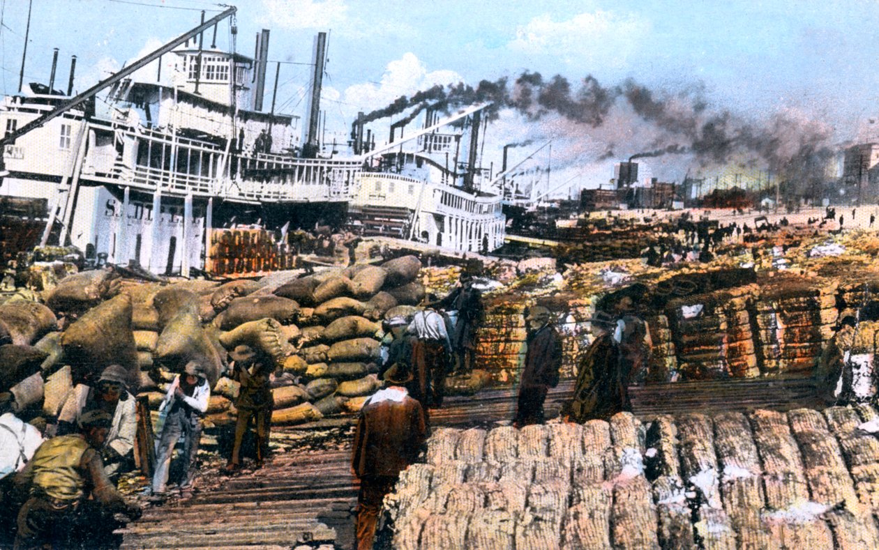 船、メンフィス、テネシー州、米国、c1900年代への綿の積み込み 作： 不明