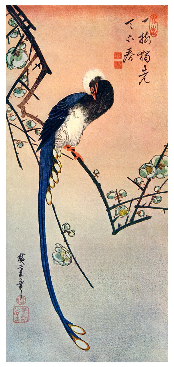 張其冀　長尾鳥　梅　木版画 1925世紀の花の梅の木の枝に長い尾を持つ青い鳥