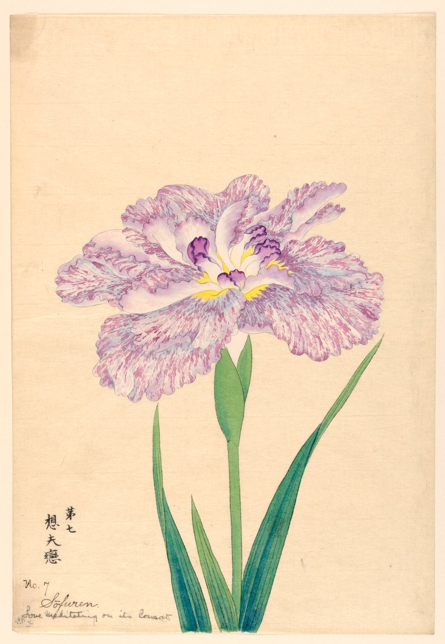 伴侶に思いを馳せる愛（ソフレン）、第7番、1910年頃 作： 不明