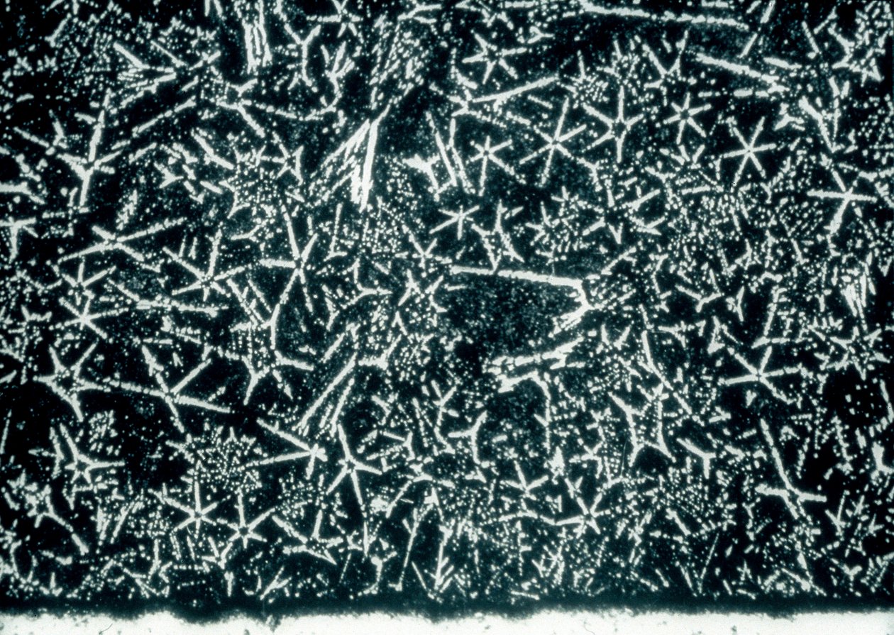 METALS, NON-FERROUS, LM スズベースのベアリング合金 作： 不明