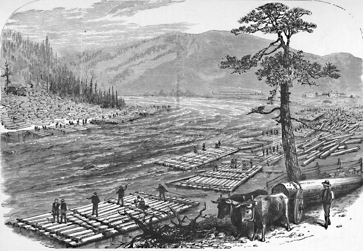 サスケハナ川のいかだ作り。エリー鉄道の路線のシーン、1883年 作： 不明