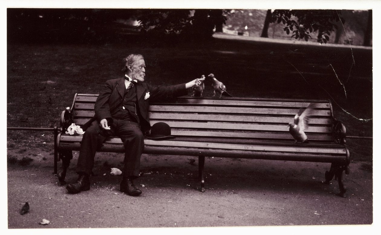 Man on a park bench, c 1920 公園のベンチに座ってハトに餌をやっている男性のスナップショット写真。 作： 不明