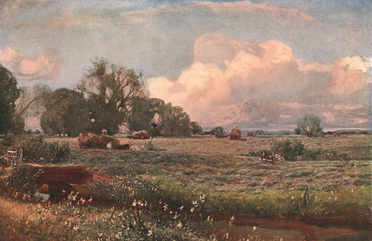Meadow Sweets、1893、c1902。 作： 不明