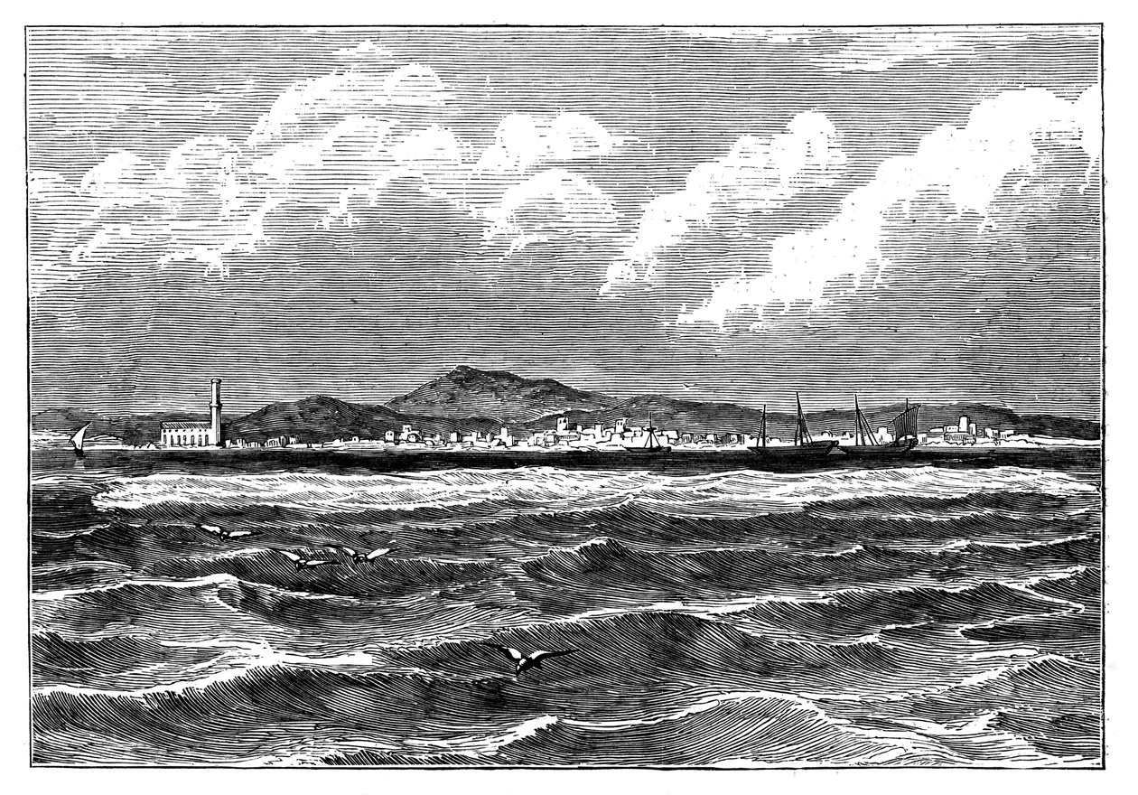 モカ、イエメン、c1890 作： 不明