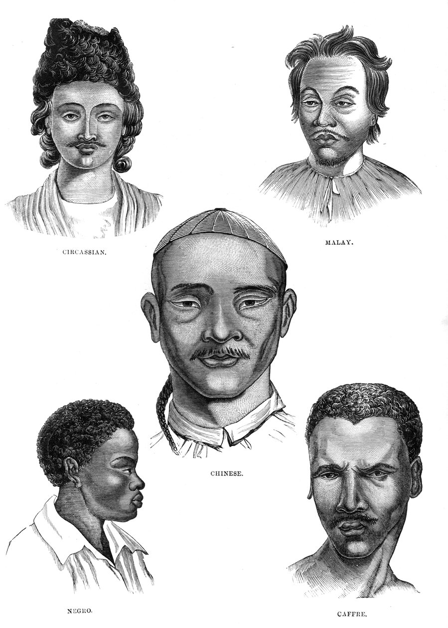 モンゴル人種、19世紀 作： 不明