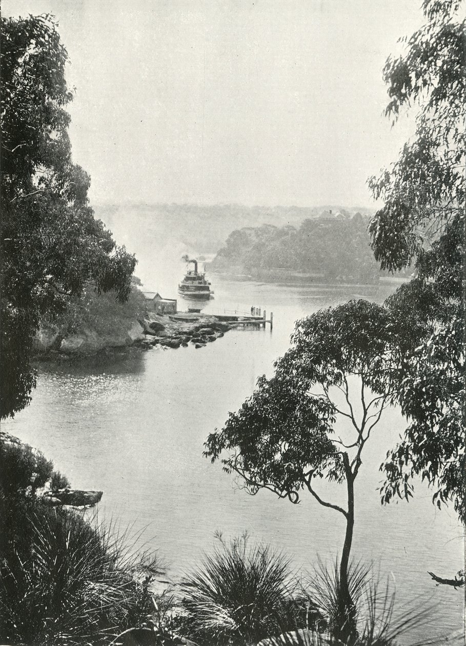 Cremorne Jetty、c1900のモスマンズベイ。 作： 不明