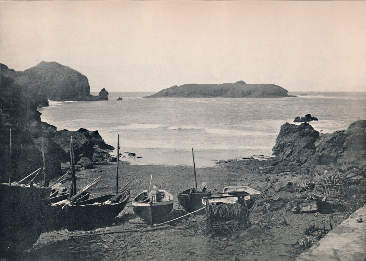 マリオンコーブ-マリオン島、1895 作： 不明