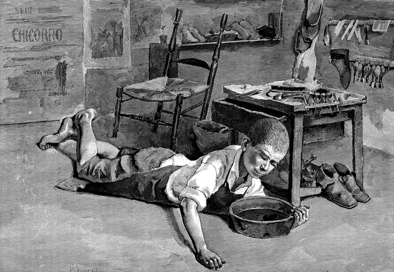 水仙、1882 作： 不明