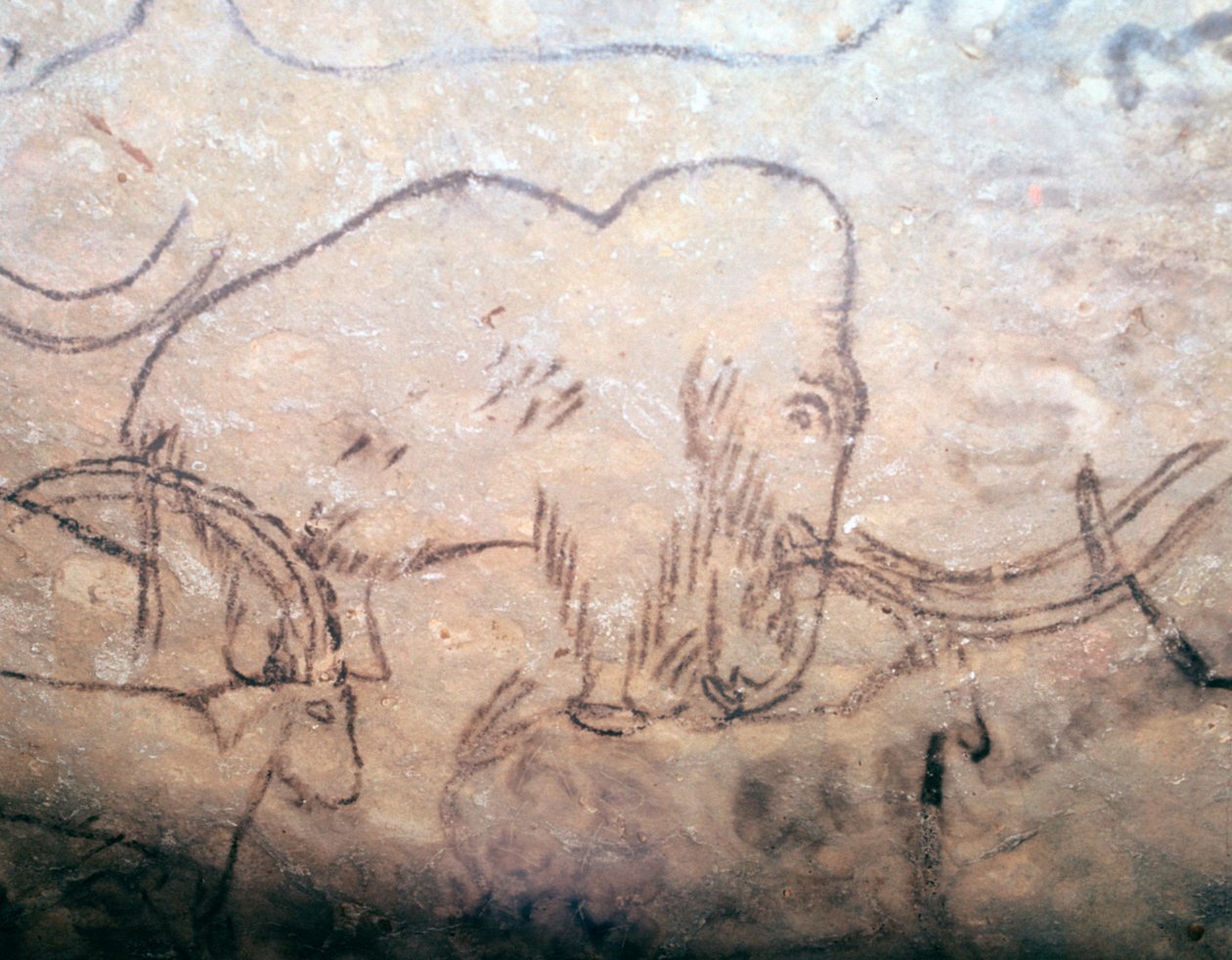 マンモスとアイベックスの新石器時代の洞窟壁画