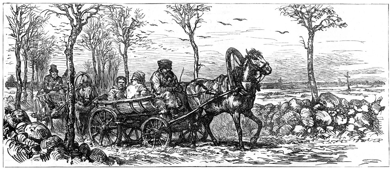 ロシア、サンクトペテルブルク近くの道路、1882年 作： 不明