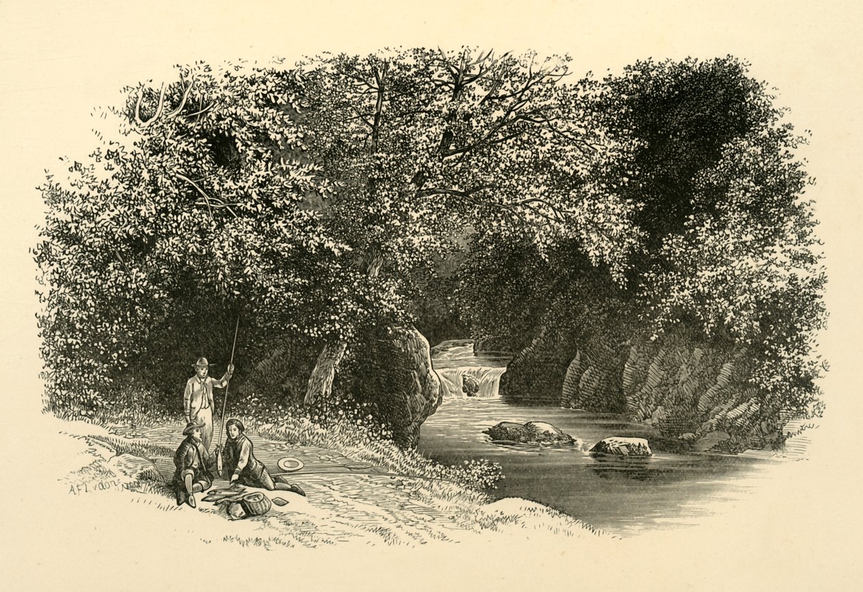 ダーグル、c1890。 作： 不明
