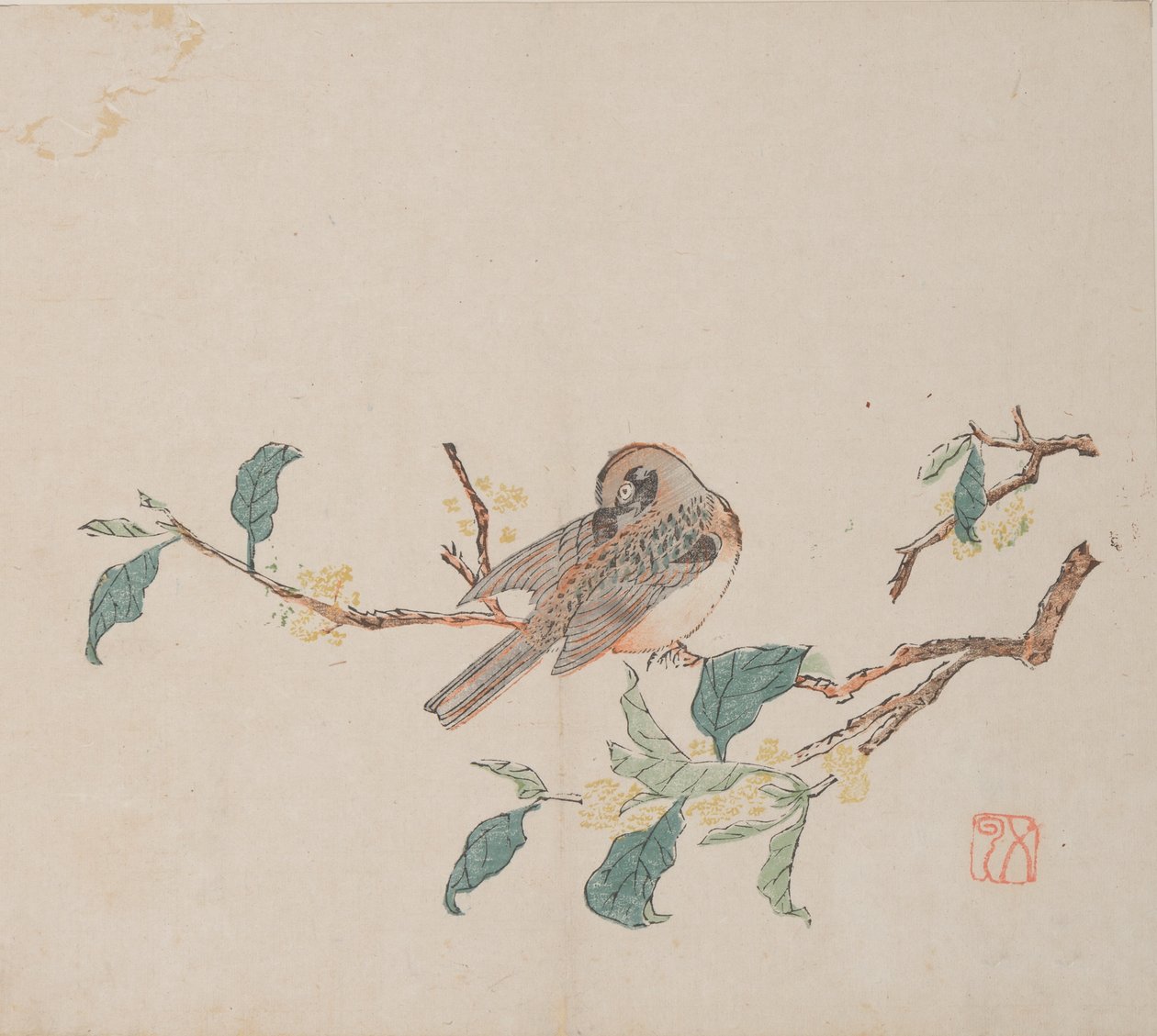 shi Z Hu Zのページもございます。 作： 不明