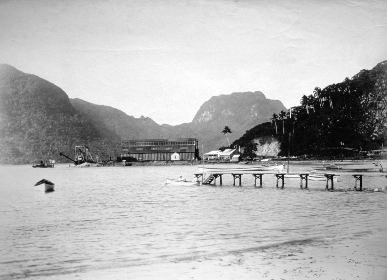 パゴパゴハーバー、トゥトゥイラ島、アメリカ領サモア、1889年 作： 不明