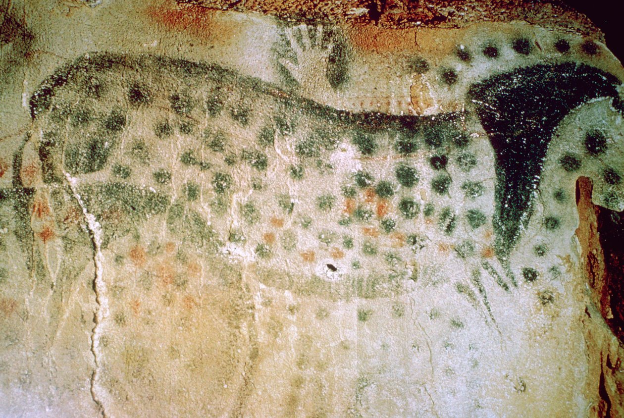 うのにもお得な情報満載！ フランスの旧石器時代の馬と人間の手の洞窟壁画 その他