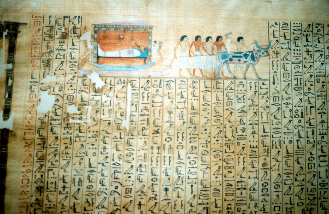 古代エジプトの死者の書からのパピルス 作： 不明
