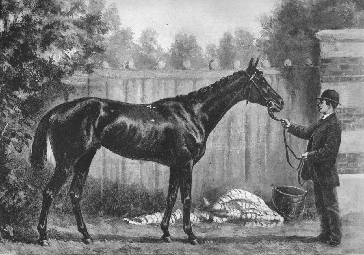 パラドックス、1882-1890、1911 作： 不明