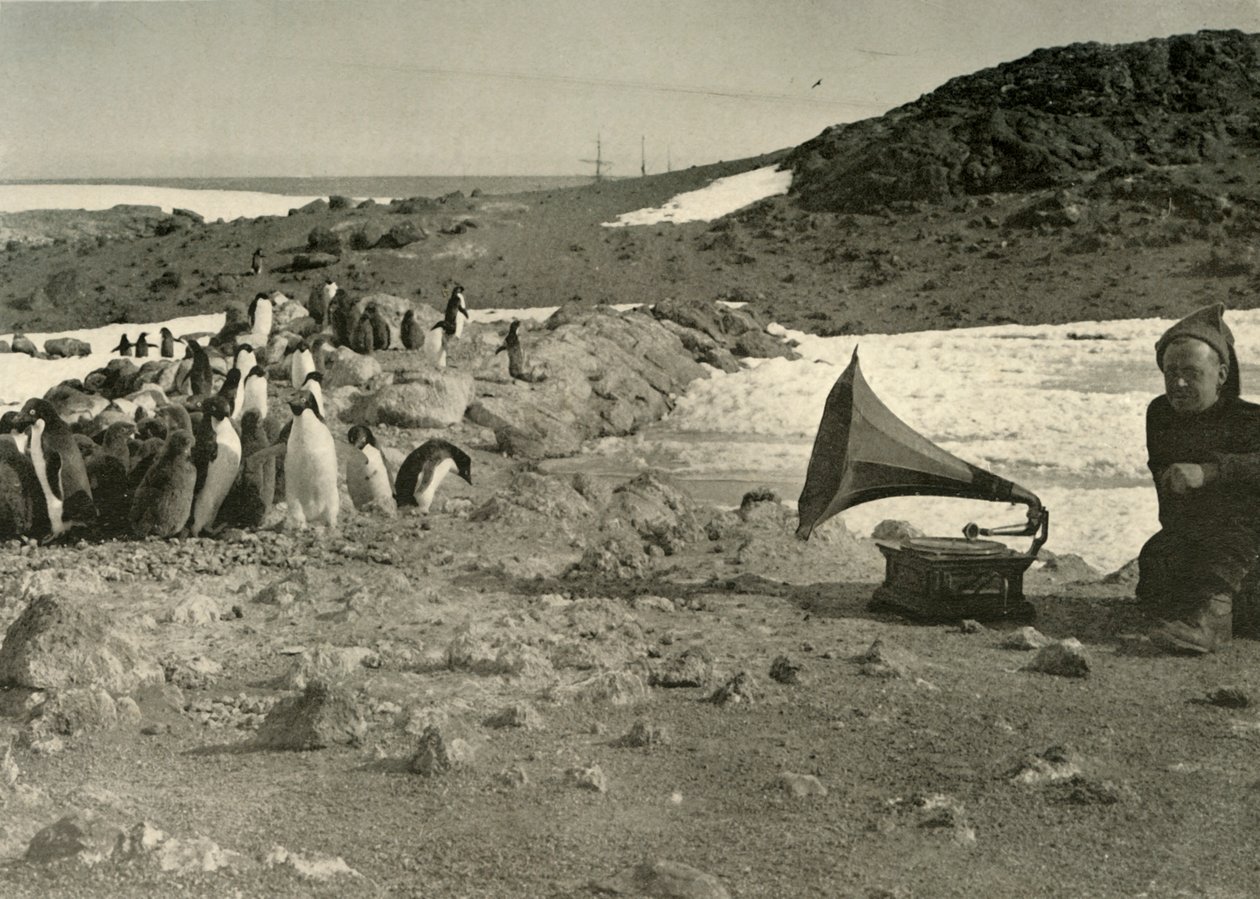 1908年、1909年の夏に蓄音機を聞くペンギン 作： 不明