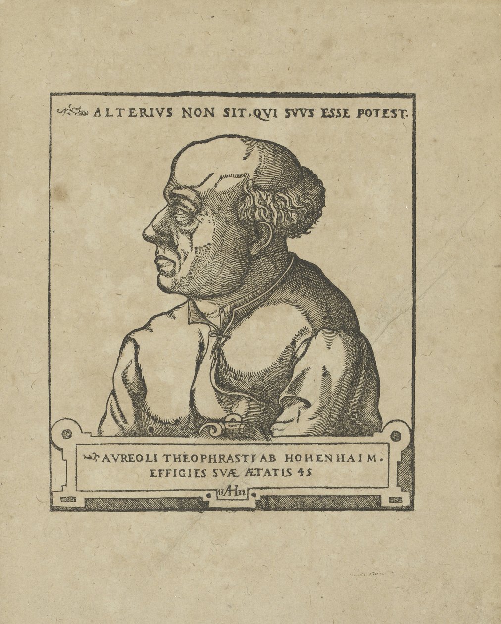 Philippus Theophrastus Aureolus Bombastus von Hohenheim Paracelsus、ca 1538。 作： 不明