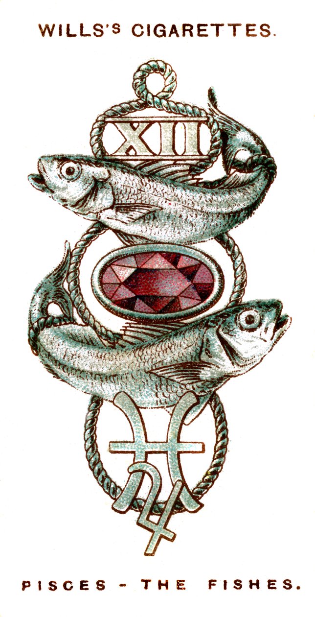 うお座、魚、1923 作： 不明