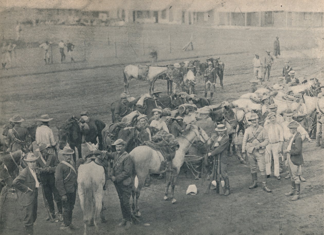 Plumers Horse、c1900。 作： 不明