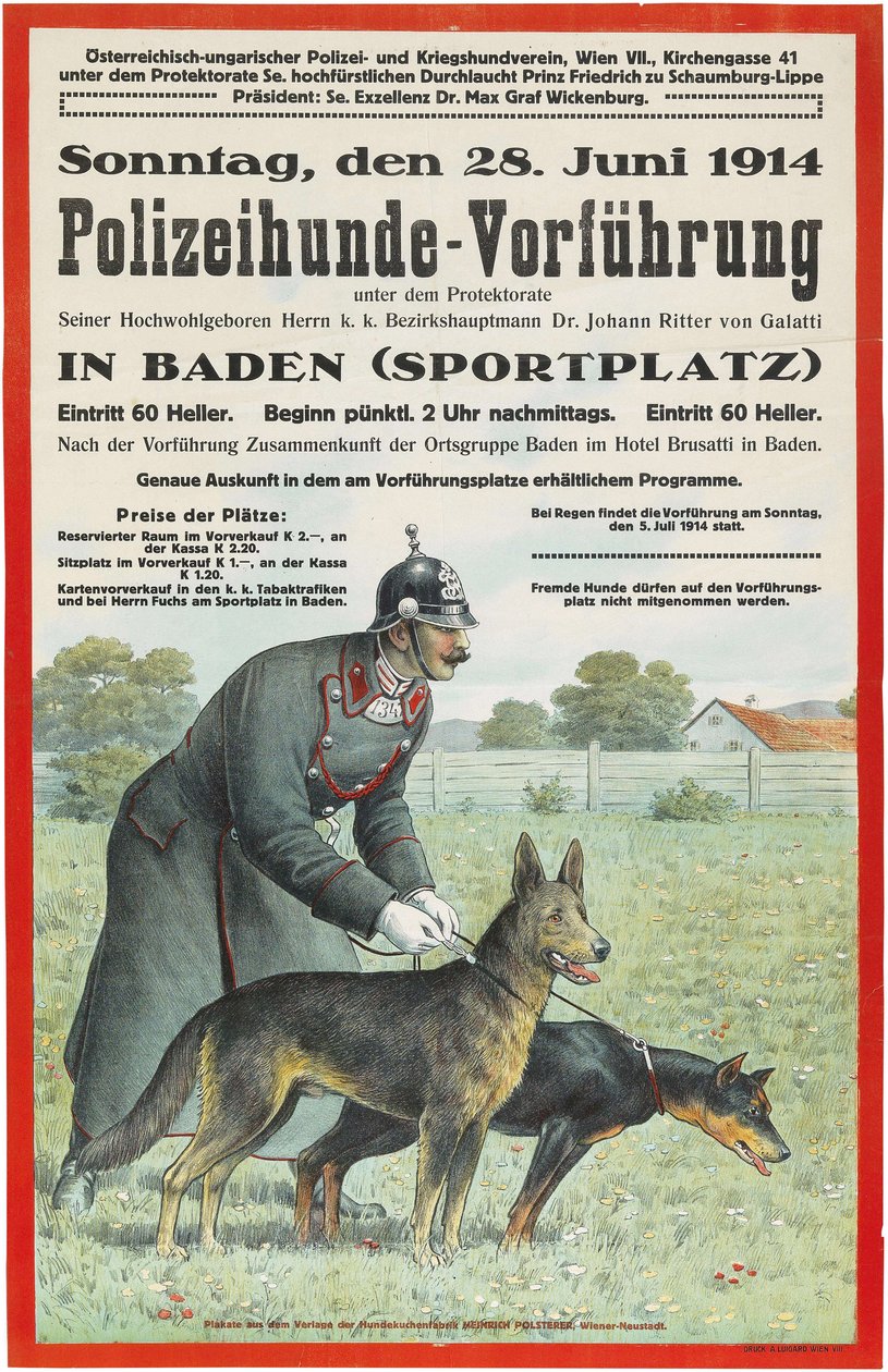 バーデンでの警察犬のデモンストレーション、1914年。 作： 不明