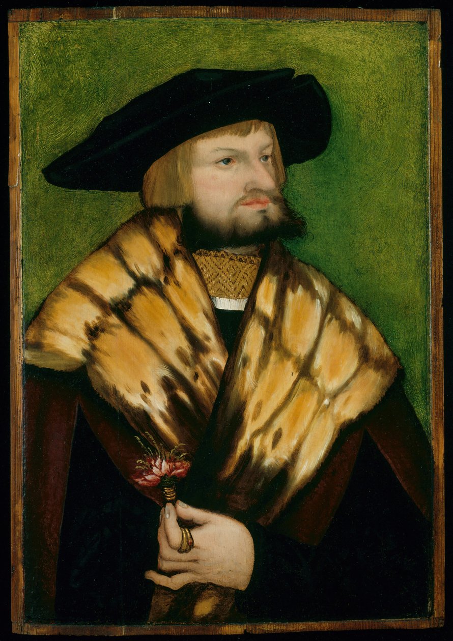 レオンハルト・フックスの肖像、1525年。 作： 不明